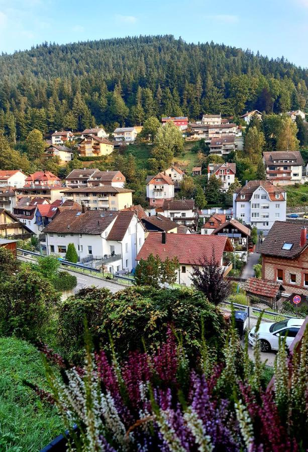 Apartament Fewo Sehl Bad Wildbad Zewnętrze zdjęcie