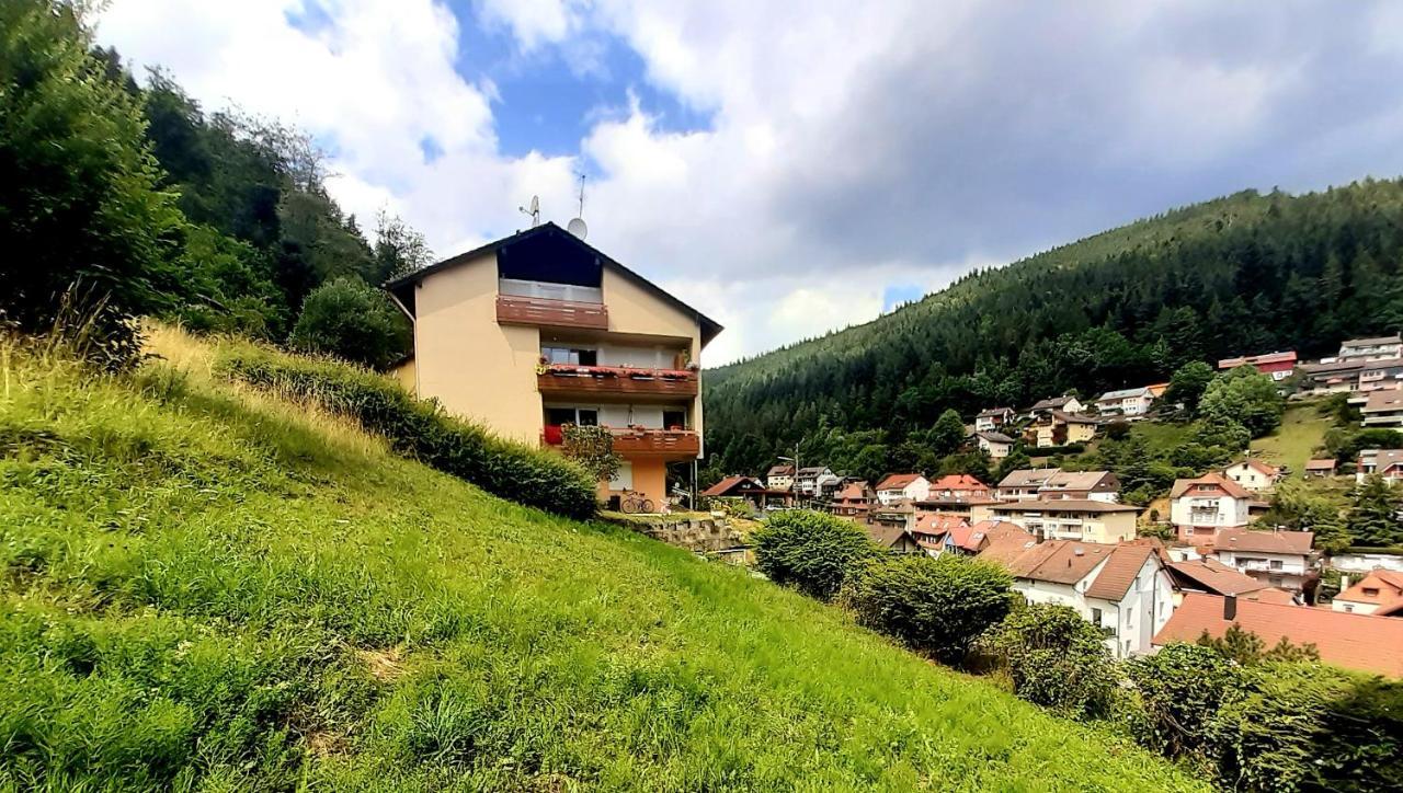 Apartament Fewo Sehl Bad Wildbad Zewnętrze zdjęcie